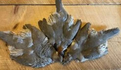 Gambel’s, Scaled And Valley (California) Quails