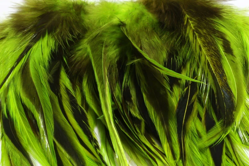 Strung Badger Saddle Hackle 3 Strung Badger Saddle Hackle - Image 2