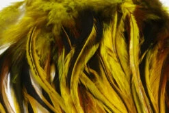 Strung Badger Saddle Hackle 10 Strung Badger Saddle Hackle -Fly Fishing Equipment Shop BSH5