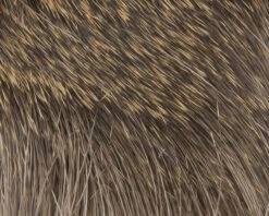 Hareline Coastal Deer Hair 8 Hareline Coastal Deer Hair -Fly Fishing Equipment Shop CBD1