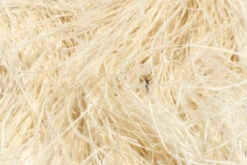 Dyed Over White Peacock Herl 6-8” 12 Dyed Over White Peacock Herl 6-8” -Fly Fishing Equipment Shop DPH2