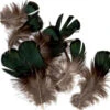 Green Iridescent Lady Amherst Plumage 1 Green Iridescent Lady Amherst Plumage -Fly Fishing Equipment Shop GIL