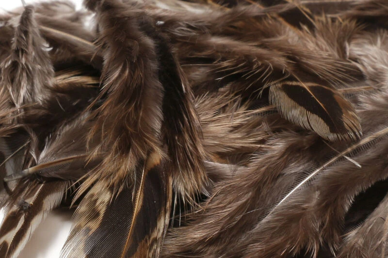 Hen Pheasant Body Feather ( Dyed And Natural ) 8 Hen Pheasant Body Feather ( Dyed And Natural ) - Image 6