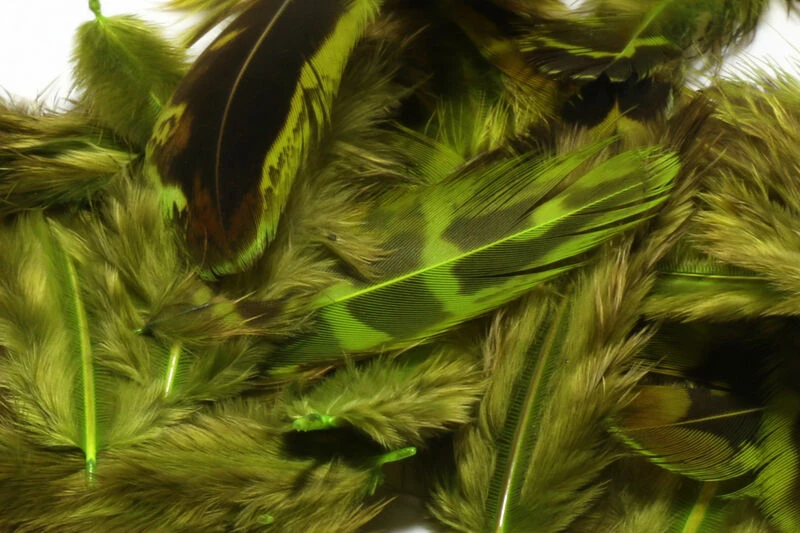 Hen Pheasant Body Feather ( Dyed And Natural ) 9 Hen Pheasant Body Feather ( Dyed And Natural ) - Image 7