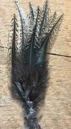 Badger Creek’s Authentic Coq De Leon Saddle Feathers 10 Badger Creek’s Authentic Coq De Leon Saddle Feathers -Fly Fishing Equipment Shop IMG 4437