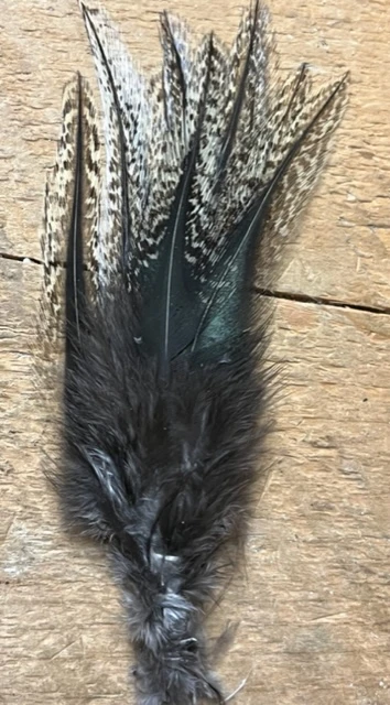 Badger Creek’s Authentic Coq De Leon Saddle Feathers 6 Badger Creek’s Authentic Coq De Leon Saddle Feathers - Image 4