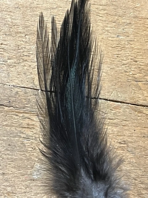 Badger Creek’s Authentic Coq De Leon Saddle Feathers 7 Badger Creek’s Authentic Coq De Leon Saddle Feathers - Image 5