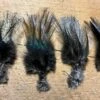 Badger Creek’s Authentic Coq De Leon Spade Or Shoulder Hackle 1 Badger Creek’s Authentic Coq De Leon Spade Or Shoulder Hackle -Fly Fishing Equipment Shop IMG 4452