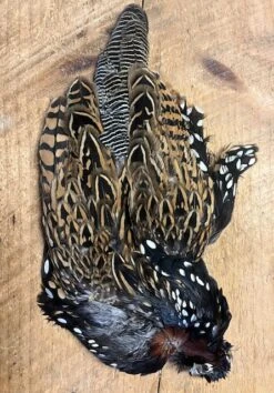 Black Francolin Skin 6 Black Francolin Skin -Fly Fishing Equipment Shop IMG 6097