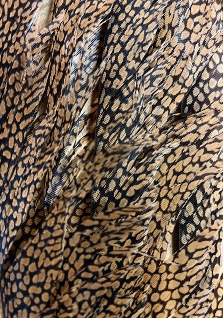 Golden Pheasant Tail Feathers: Grade 1 And 2 3 Golden Pheasant Tail Feathers: Grade 1 And 2