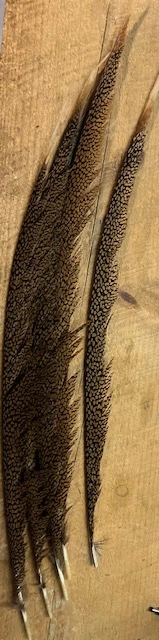 Golden Pheasant Tail Feathers: Grade 1 And 2 5 Golden Pheasant Tail Feathers: Grade 1 And 2 - Image 3
