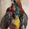 Golden Pheasant Complete Pelt No Tail, Grade 1: + Head, Grade 2 No Head Or Tail 1 Golden Pheasant Complete Pelt No Tail, Grade 1: + Head, Grade 2 No Head Or Tail -Fly Fishing Equipment Shop IMG 6534 300x300 1