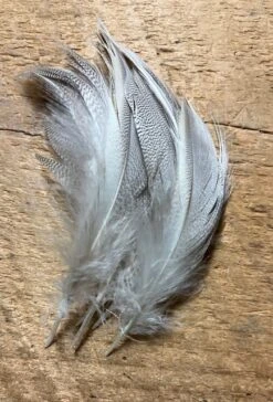 European Canvas Back Flank ( AKA Joe’s Smelt Feathers, “Maine Pintail” )