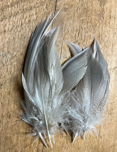 European Canvas Back Flank ( AKA Joe’s Smelt Feathers, “Maine Pintail” ) 4 European Canvas Back Flank ( AKA Joe’s Smelt Feathers, “Maine Pintail” ) - Image 2