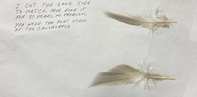 European Canvas Back Flank ( AKA Joe’s Smelt Feathers, “Maine Pintail” ) 5 European Canvas Back Flank ( AKA Joe’s Smelt Feathers, “Maine Pintail” ) - Image 3