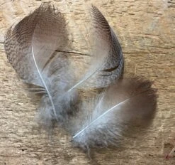 Natural American Wigeon Flank 5 Natural American Wigeon Flank -Fly Fishing Equipment Shop IMG 6565 1