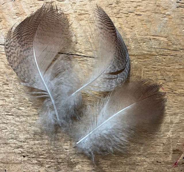 Natural American Wigeon Flank 4 Natural American Wigeon Flank - Image 2