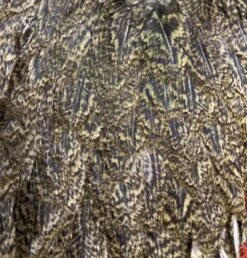 Whiting Farm’s Coq De Leon Hen Saddles ( AKA Mottled Gamechanger Saddles ) Dyed And Natural 11 Whiting Farm’s Coq De Leon Hen Saddles ( AKA Mottled Gamechanger Saddles ) Dyed And Natural -Fly Fishing Equipment Shop IMG 6765