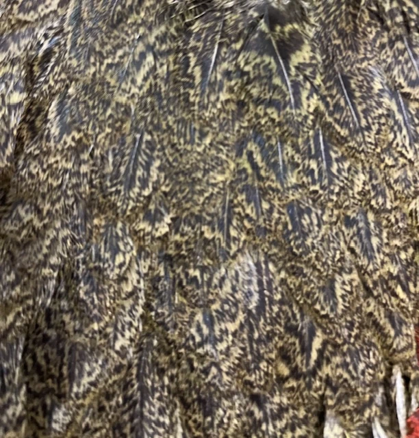 Whiting Farm’s Coq De Leon Hen Saddles ( AKA Mottled Gamechanger Saddles ) Dyed And Natural 7 Whiting Farm’s Coq De Leon Hen Saddles ( AKA Mottled Gamechanger Saddles ) Dyed And Natural - Image 5