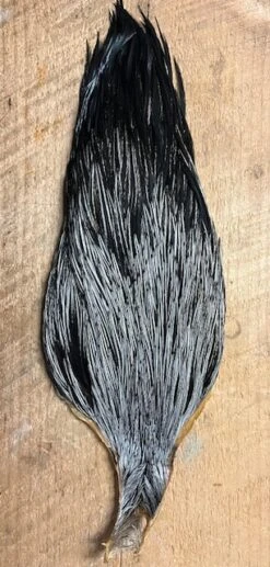 Badger Creek’s Pro Grade Genetic Rooster Capes: Save Over 50%! 13 Badger Creek’s Pro Grade Genetic Rooster Capes: Save Over 50%! -Fly Fishing Equipment Shop IMG 6777