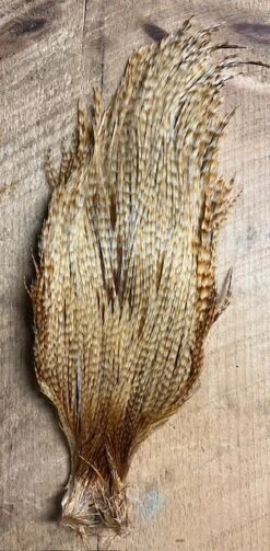 Badger Creek’s Pro Grade Genetic Rooster Capes: Save Over 50%! 11 Badger Creek’s Pro Grade Genetic Rooster Capes: Save Over 50%! -Fly Fishing Equipment Shop IMG 6779