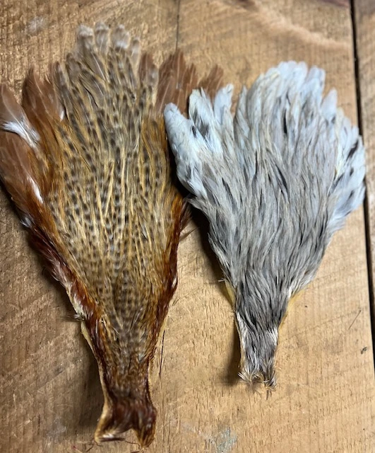 Badger Creek’s Pro Grade Genetic Hen Capes: Save Over 50% 5 Badger Creek’s Pro Grade Genetic Hen Capes: Save Over 50% - Image 3