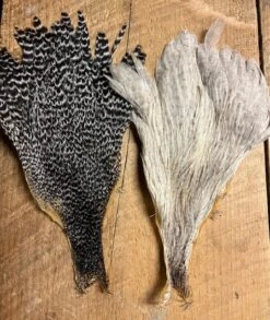 Badger Creek’s Pro Grade Genetic Hen Capes: Save Over 50% 15 Badger Creek’s Pro Grade Genetic Hen Capes: Save Over 50% -Fly Fishing Equipment Shop IMG 6783