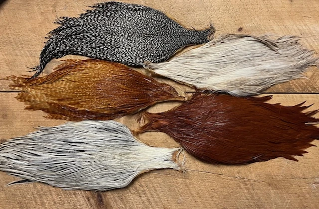 Badger Creek’s Pro Grade Genetic Rooster Capes: Save Over 50%! 3 Badger Creek’s Pro Grade Genetic Rooster Capes: Save Over 50%!