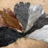 Badger Creek’s Pro Grade Genetic Hen Capes: Save Over 50% -Fly Fishing Equipment Shop IMG 6798