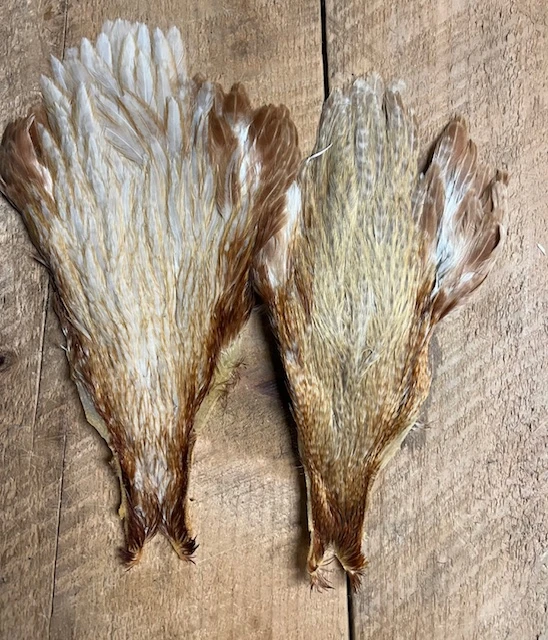 Rare Genetic Hen Variants: Including Rusty Dun, Honey Dun, Cree And Very Rare Dun Cree 4 Rare Genetic Hen Variants: Including Rusty Dun, Honey Dun, Cree And Very Rare Dun Cree - Image 2