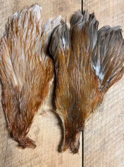 Rare Genetic Hen Variants: Including Rusty Dun, Honey Dun, Cree And Very Rare Dun Cree 8 Rare Genetic Hen Variants: Including Rusty Dun, Honey Dun, Cree And Very Rare Dun Cree -Fly Fishing Equipment Shop IMG 6801 1