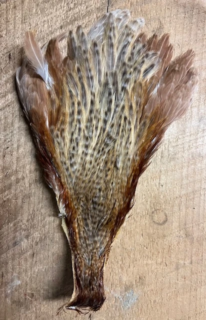 Rare Genetic Hen Variants: Including Rusty Dun, Honey Dun, Cree And Very Rare Dun Cree 6 Rare Genetic Hen Variants: Including Rusty Dun, Honey Dun, Cree And Very Rare Dun Cree - Image 4