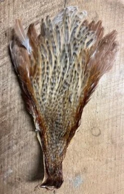 Badger Creek’s Pro Grade Genetic Hen Capes: Save Over 50% 12 Badger Creek’s Pro Grade Genetic Hen Capes: Save Over 50% -Fly Fishing Equipment Shop IMG 6802