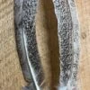 Badger Creek Mottled Oak Turkey Quill ( Small ) 2 Badger Creek Mottled Oak Turkey Quill ( Small ) -Fly Fishing Equipment Shop IMG 6838