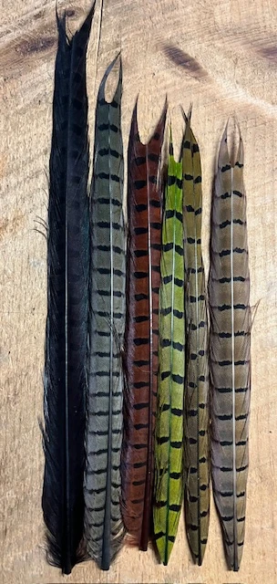 Pheasant Tail Natural And Dyed Assortment 3 Pheasant Tail Natural And Dyed Assortment