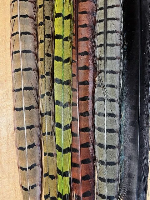 Pheasant Tail Natural And Dyed Assortment 4 Pheasant Tail Natural And Dyed Assortment - Image 2