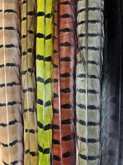 Pheasant Tail Natural And Dyed Assortment 9 Pheasant Tail Natural And Dyed Assortment -Fly Fishing Equipment Shop IMG 6849 rotated 1