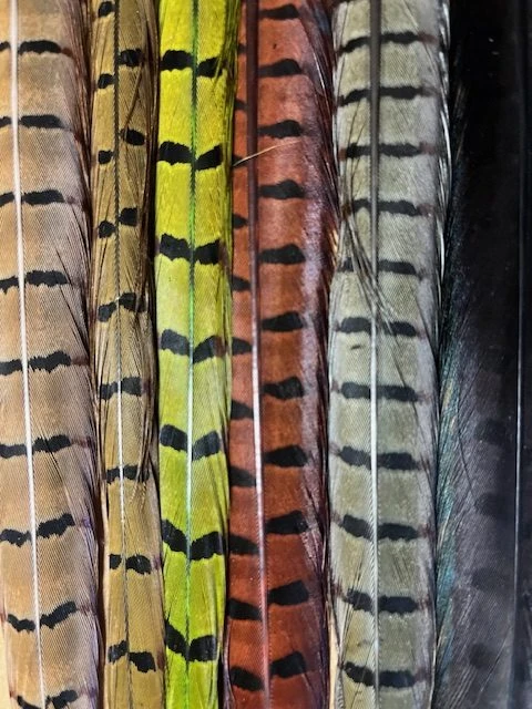 Pheasant Tail Natural And Dyed Assortment 6 Pheasant Tail Natural And Dyed Assortment - Image 4