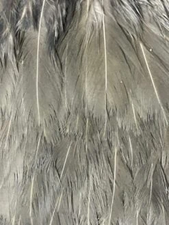 Medium Dun Gamechanger Hen Saddle 5 Medium Dun Gamechanger Hen Saddle -Fly Fishing Equipment Shop IMG 6851 rotated 1