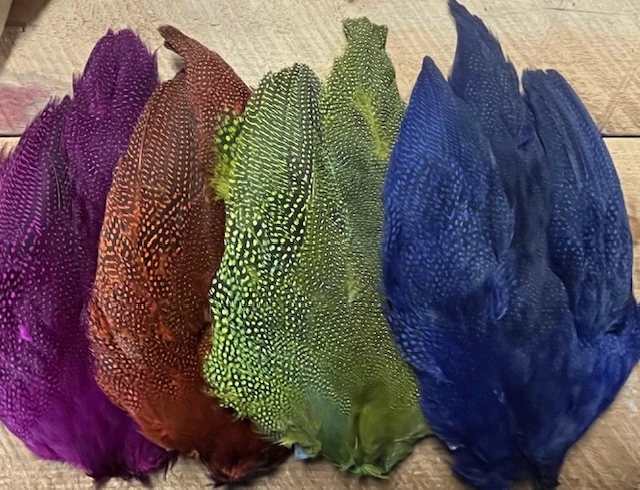 Natural And Dyed Guinea Hen Skin 3 Natural And Dyed Guinea Hen Skin