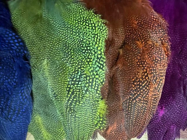 Natural And Dyed Guinea Hen Skin 4 Natural And Dyed Guinea Hen Skin - Image 2