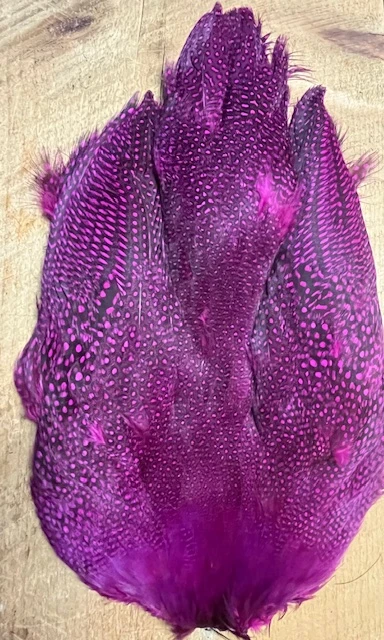 Natural And Dyed Guinea Hen Skin 8 Natural And Dyed Guinea Hen Skin - Image 6