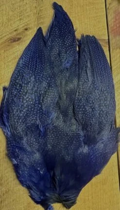 Natural And Dyed Guinea Hen Skin 13 Natural And Dyed Guinea Hen Skin -Fly Fishing Equipment Shop IMG 6856