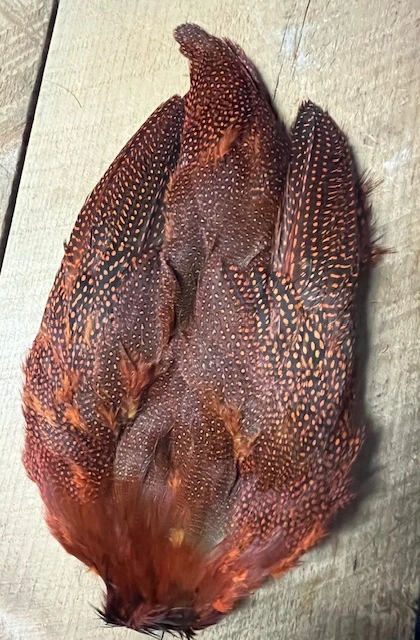 Natural And Dyed Guinea Hen Skin 6 Natural And Dyed Guinea Hen Skin - Image 4