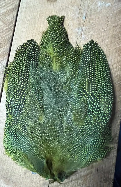 Natural And Dyed Guinea Hen Skin 5 Natural And Dyed Guinea Hen Skin - Image 3