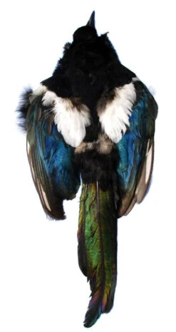 Magpie Skin