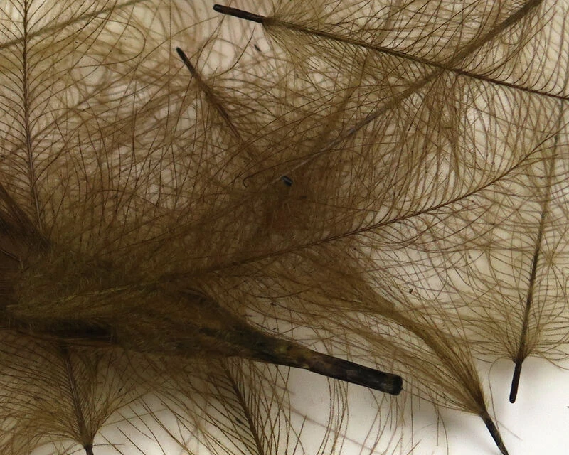 54 Dean Street Super Select CDC 6 54 Dean Street Super Select CDC - Image 4