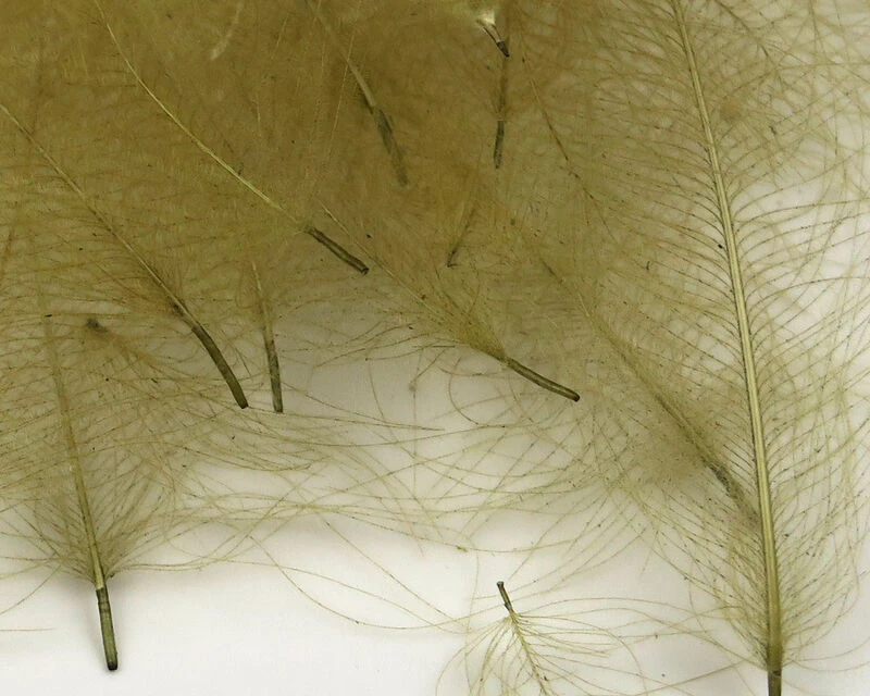 54 Dean Street Super Select CDC 8 54 Dean Street Super Select CDC - Image 6