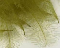 54 Dean Street Super Select CDC 17 54 Dean Street Super Select CDC -Fly Fishing Equipment Shop SSCDC6