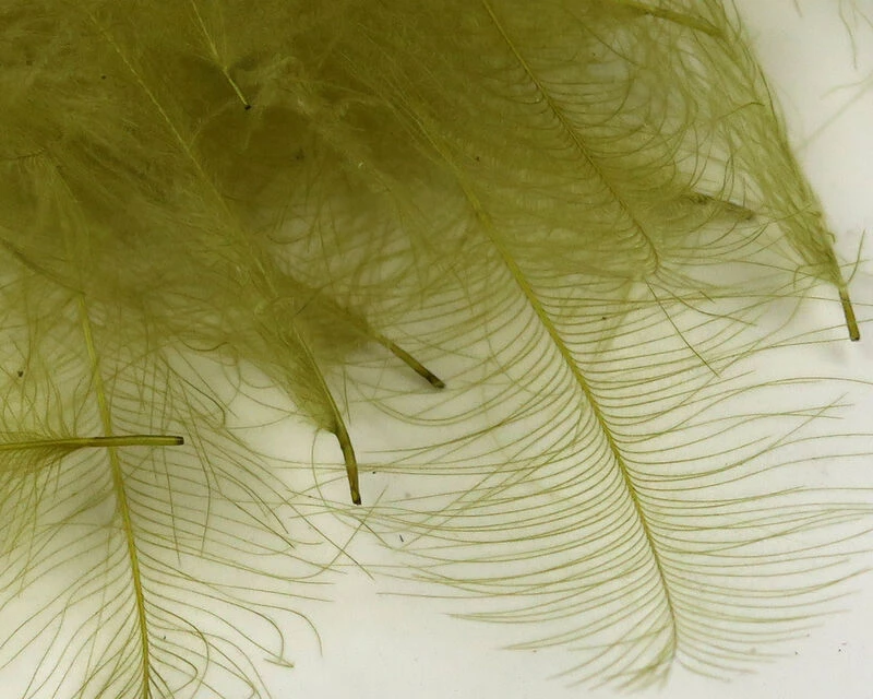 54 Dean Street Super Select CDC 9 54 Dean Street Super Select CDC - Image 7